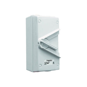 Surface Mount Double Pole Isolating Switch 35A 440V IP66