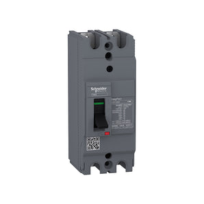 MCCB EasyPact EZC100H ,TMD, 30A ,2 poles 2d