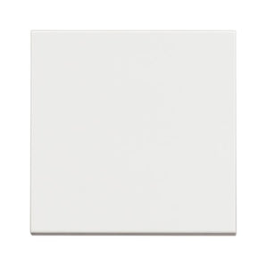 Push buttons 1P (NO) 10 A - 250 Vac (RW4005M2)