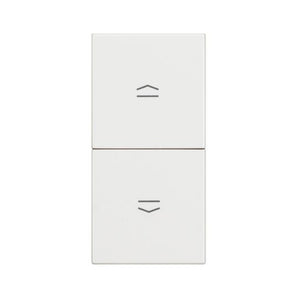 Shutter switch double 1P (NO) + 1P (NO) 10A - 250Vac interlocked (RW4037)