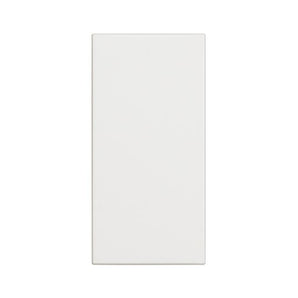 Blank plate - 1 module (BT-RW4950)