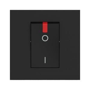 32A - 250Vac 2P switch (item sold in box packaging) (BT-RG4011P)