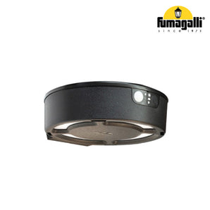 Garden LED Solar Light, FORTUNATO With Motion Sensor 4x18 cm IP55 CCT