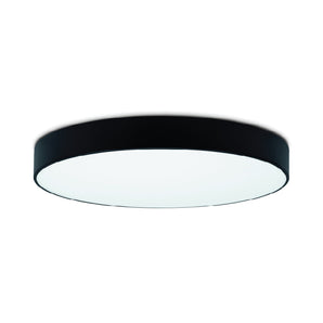 LED Surface Mounted Black Globe Light 48W 4000K 60x4cm